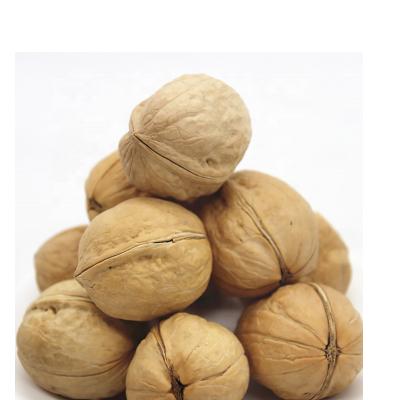 China Shell Xinjiang 185 Xin 2 Organic Bulk Walnut Thin Skin Paper Fresh Wholesale Price Best Quality for sale