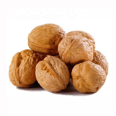 China High Quality Fresh Pure Natural Delicious Thin Skin Wholesale Price in Shell Walnuts for sale