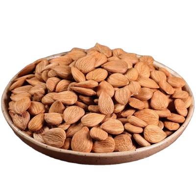 China China factory wholesale price healthy snacks high quality sweet apricot kernels dry and delicious for sale