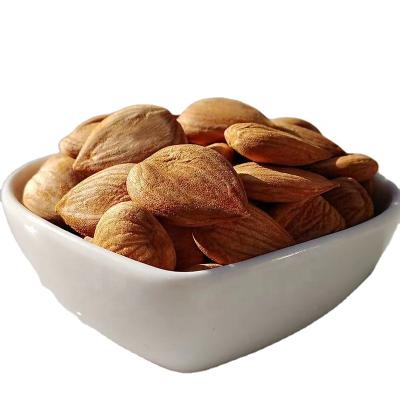 China China Dry Factory Directly Supplying Healthy and Delicious Snacks High Quality Sweet Apricot Kernels for sale