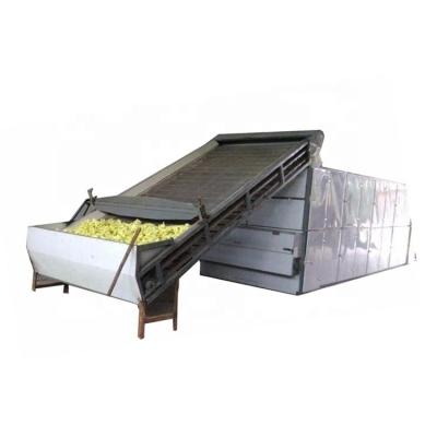 China Medicine processing cottonseed cannibis oil triminator seaweed fruit conveyor belt food dryer oven continuous drying machine price for sale