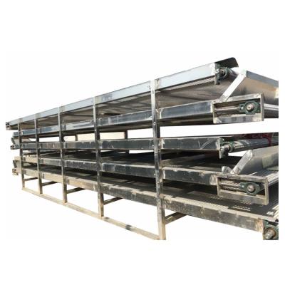 China Medicine Curing Hemp Flower Pumpkin Seed Shrimp Shell Stainless Steel Conveyor Dryer Continuous Drying Machine for sale