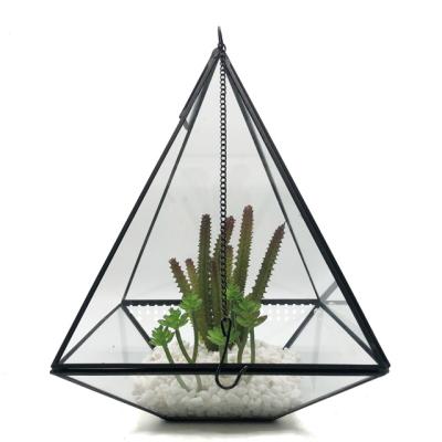 China Glass Terarium Air Plant Mini Greenhouse Geometric Mini Greenhouse With Light Mini Greenhouse for sale