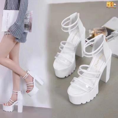 China 2022 Fashion Trend Women Gladiator Knee High Sandals Open Toe Lace Up High Heels Strappy Crossed Heels Sandals Women Fashion Sexy Shoes Custom for sale