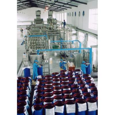 China Multifunctional Dehydrated Vegetable Processing Dried Fruit Production Line For Pineapple for sale