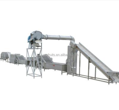 China Dried Mango Date Palm Curing Drying Machine With Turn Key Solution for sale