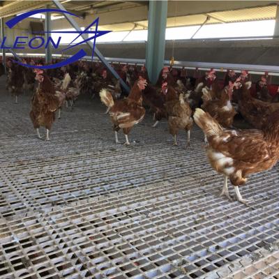 China Poultry Farm Broiler Farm Breeder Manual Animal Feeders Drinker for sale