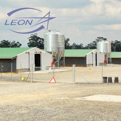 China Leon Equipment Animal House Chicken Broiler Pan Fully Automatic Feeding System for sale