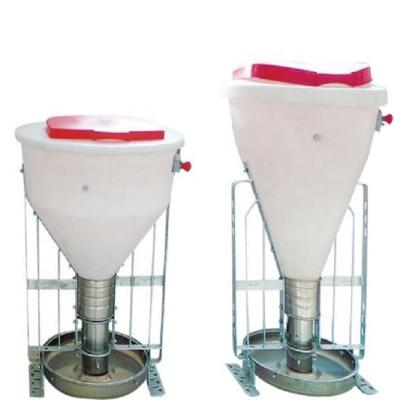 China Animal Feeder Automatic Wet-Dry Hog Feeder for sale