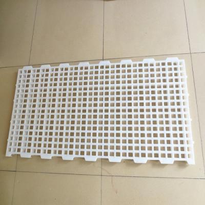 China Livestock Farm Plastic Slat Flooring for sale