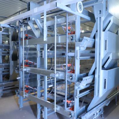 China Cultivate the poultry farming of Leon Automatic Broiler Cage System for sale