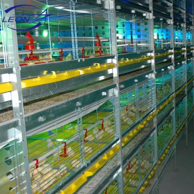 China Farms Leon Series Broiler Cage System With Best Price for sale