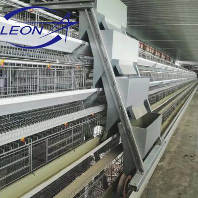 China Farms Automatic Leon Series Poultry Chicken Cage System For Broilers And Layers for sale