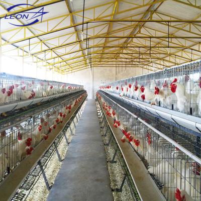 China Farms Leon Series Automatic Layer and Broiler Cage for Poultry Farm for sale