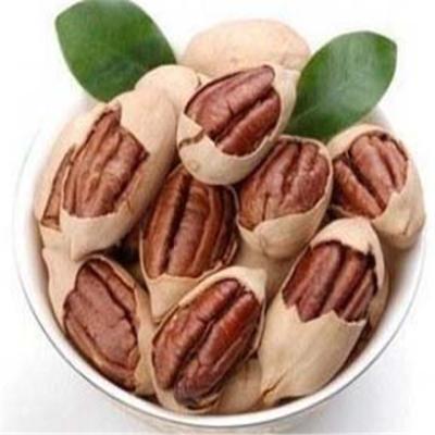 China Natural Top Grade Pecan Nuts Pecanl Nuts High Quality Pecan Nuts for sale