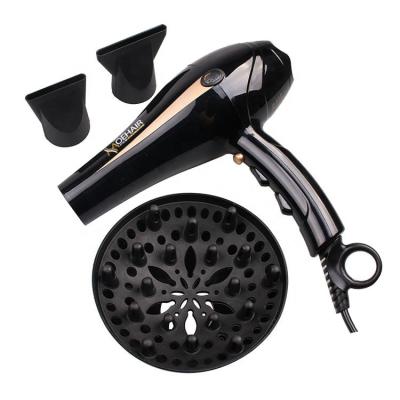 China Pro Hair Salon AC Motor Ceramic Hair Dryer Ionic Damage Protection with Diffuser Concentrator Temperature Display for sale