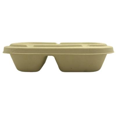 China Disposable Bagasse Lunch Pizza Cake Apple Meat Bagasse Paper Tray With Lid Sugarcane Bagasse Tray Sushi Food for sale