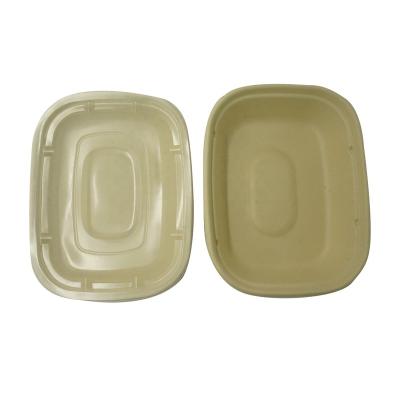 China Disposable Tray Sushi Food Meat Bagasse Paper Tray With Lid Sugarcane Bagasse Bagasse for sale