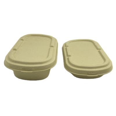 China 700ml Disposable Salad Trays Disposable Sugarcane Bagasse Compostable Lunch Box With Lid Takeout Container Sugarcane Bagasse Tray for sale