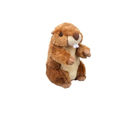 China Custom soft plush stuffed&plush animal toys groundhog for baby custom plush for sale