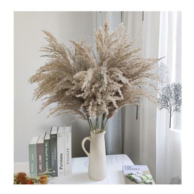 China Wedding pampas home wholesale white home decoration colorful capim DOS dried pampas pampas weddings home decor plants small mini natural flower pampas short for sale