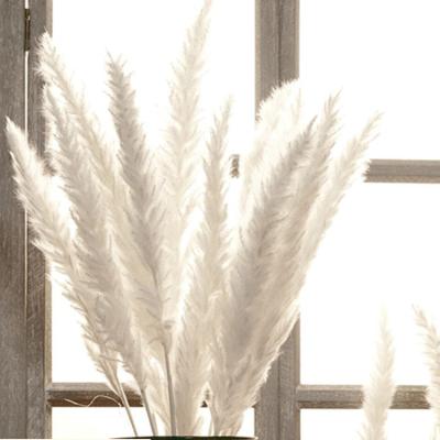 China Mini Grass Wholesale Artificial Natural Weddings Home Pampas Grass Decorative Shopping Mall Hotel Home Decor Flowers 45cm Small Dry White Pampas Grass for sale