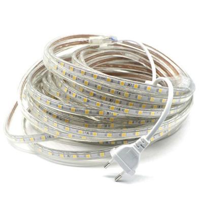 China Theme Park SMD 5050 AC220V Flexible Led Strip Light 60leds/m Waterproof LED Strip Light With Power Plug for sale