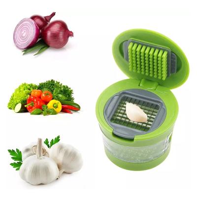 China Viable Kitchen Innovations Garlic-A-Skin Garlic Press Crusher Cutter Meat Grinder and Storage Container - Includes Silicone Garlic Peeler for sale