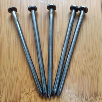 China Professional Tile Manufacturer Supply Common Wire Nails Iron Round Head Nails for sale