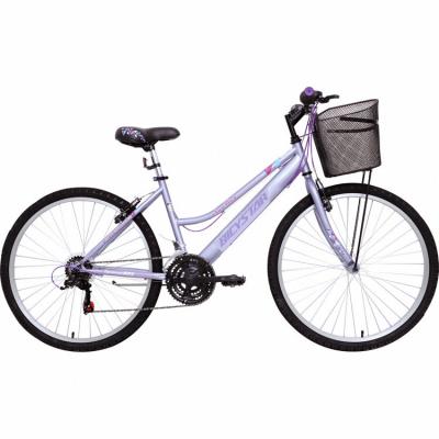 China 2022 Super Cheap Steel City Bikes Dutch Bike Women Vintage Style Dutch City Bike for sale