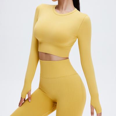 China Sports Wear Women Long Sleeve Sports Crop Quick Dry Tight Active Seamless Breathable Fitness Tops Gym for sale