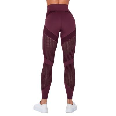 China Breathable Workout Wear Lift Up Solid Mesh Butt Lift Women Mesh Yoga Pants Fitness Gaiters for sale