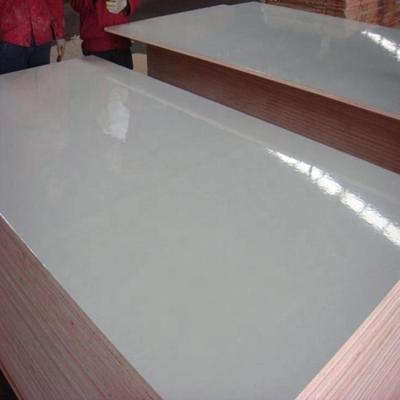 Cina Competitive Price Modern Grade A Faced Commercial Multiply Plywood Sheets 18mm HPL Plywood in vendita