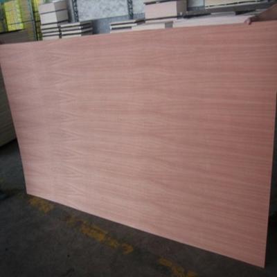 Cina Modern Waterproof Hardwood Veneer 5mm~28mm Veneer Commercial Outdoor Indoor Plywood in vendita