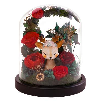 China Fawn Preserved Flower Valentine's Day Creative Celebration Deer Glass Cover Gift Eternal Flower Box Valentine's Day Gift for sale