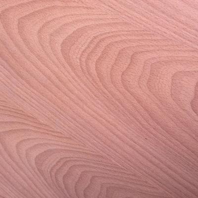 China China 3A 2A Modern Natural Beech Oak American Fancy Plywood 1220*2440mm Veneer for sale