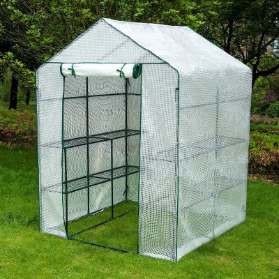 China Easily Assembled Portable Greenhouse Kit Invernadero Garden Winter Greenhouse for sale