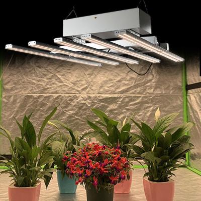 China gavita aeroponics led grow light vertical farming plant grow light greenhouse 1000W indoor plants for sale