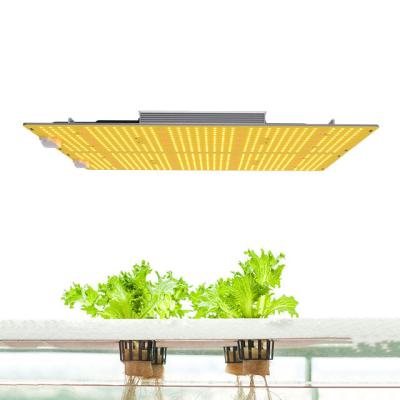 China grow lights hydroponic vertical farming lm301h indoor plants lamp for plants Medical f4000 440w for sale