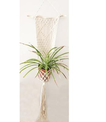 China Handmade Wall Art Home Decorative Modern Macrame Flower Plant Hanger Art for sale