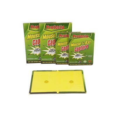 China High Effective Disposable Hot Selling Mouse Glue Board and Rat Catcher Mouse Traps Customize Sticky Rat Traps for sale