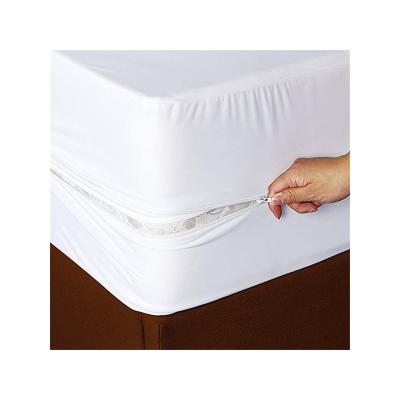 China Waterproof bed insect mattress cover begbug proof mattress encasement with zipper for sale