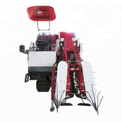 China Peanut Rubber Type - India 2 Rows Peanut Harvester Price for sale