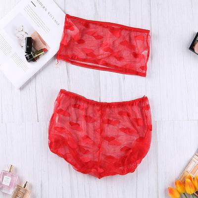 China Hot Selling Women QUICK DRY Transparent Plus Size Women's Lingerie Set Bra Panty Ladies Underwear Ready To Ship Lingerie for sale