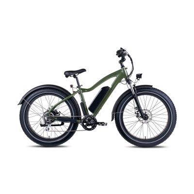 China Aluminum Alloy Fat Tire 250W Disc Brake Bub Brushless Motor Lithium Battery Hot Selling Mountain Rear Electric Bicycle for sale