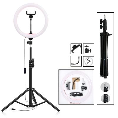 China Photographic Adjustable Brightness Lighting 8 10 12 Inch Phone Ring Light Led Circle Selfie Ring Light Selfie Stand Led Ring With Tripod Stand for sale