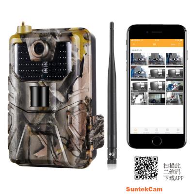 China Wireless 4K 30MP Hunting Camera System with APP Cloud 256GB IP65 Live Video 4G Wildlife Trail Camera HC-900pro for sale