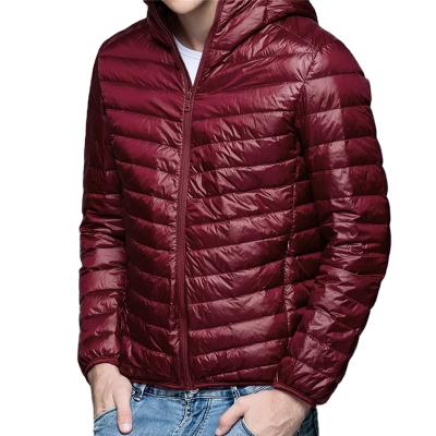 China Wholesale Waterproof Duck Jackets Hooded Stripper Men Outdoor Lightweight Packable Warm Winter Down Jacket for sale