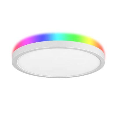 China Smart Alexa Tuya Speaker Flush Mount Dimmable RGB Modern Room Ceiling Light Sky Ambient Light for sale