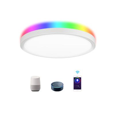 China Modern 4W RGB Smart Wifi Control TDC 24W LED Selectable Modern Ceiling Light For Living Room for sale